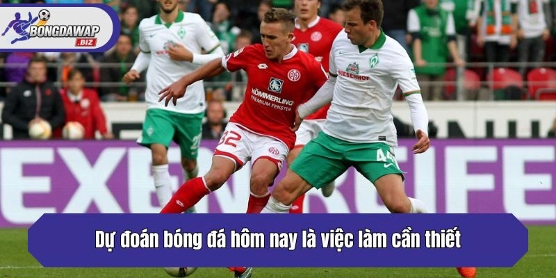 Dự đoán bóng đá hôm nay là việc làm cần thiết