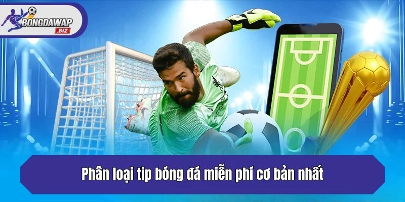 Phân loại tip bóng đá miễn phí cơ bản nhất
