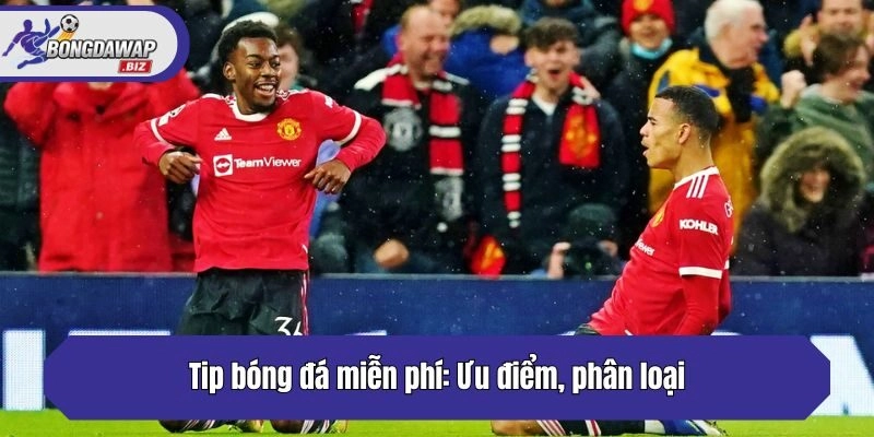 Tip bóng đá miễn phí: Ưu điểm, phân loại