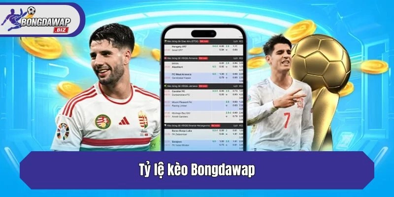Tỷ lệ kèo Bongdawap