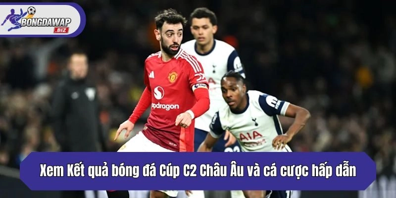 Xem Kết quả bóng đá Cúp C2 Châu Âu và cá cược hấp dẫn