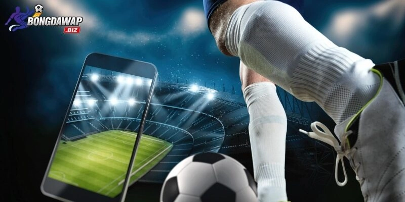 Bí quyết vàng khi soi kèo